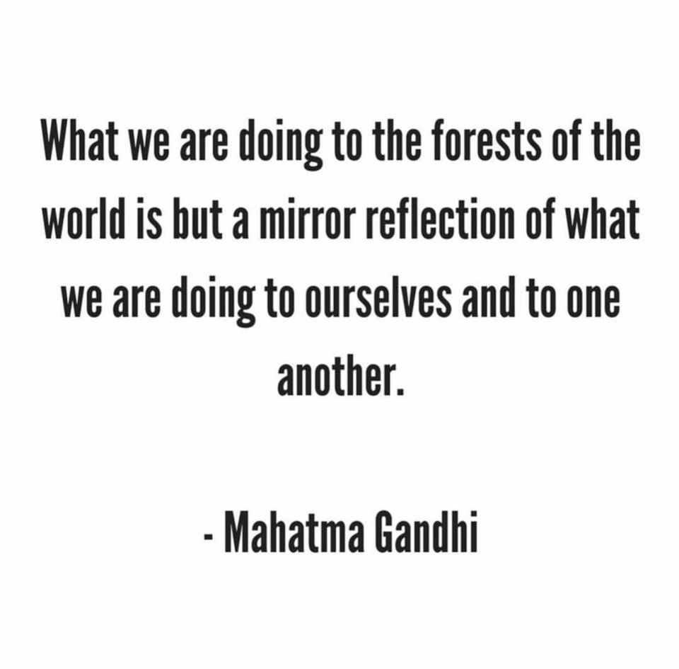 1lightglobal's tweet photo. What makes you feel connected to nature? To people?  We believe that connection to the environment around us is part of being #OneFamily. 
#OneLightGlobal #Sustainability https://t.co/GORp1Bp8Ry