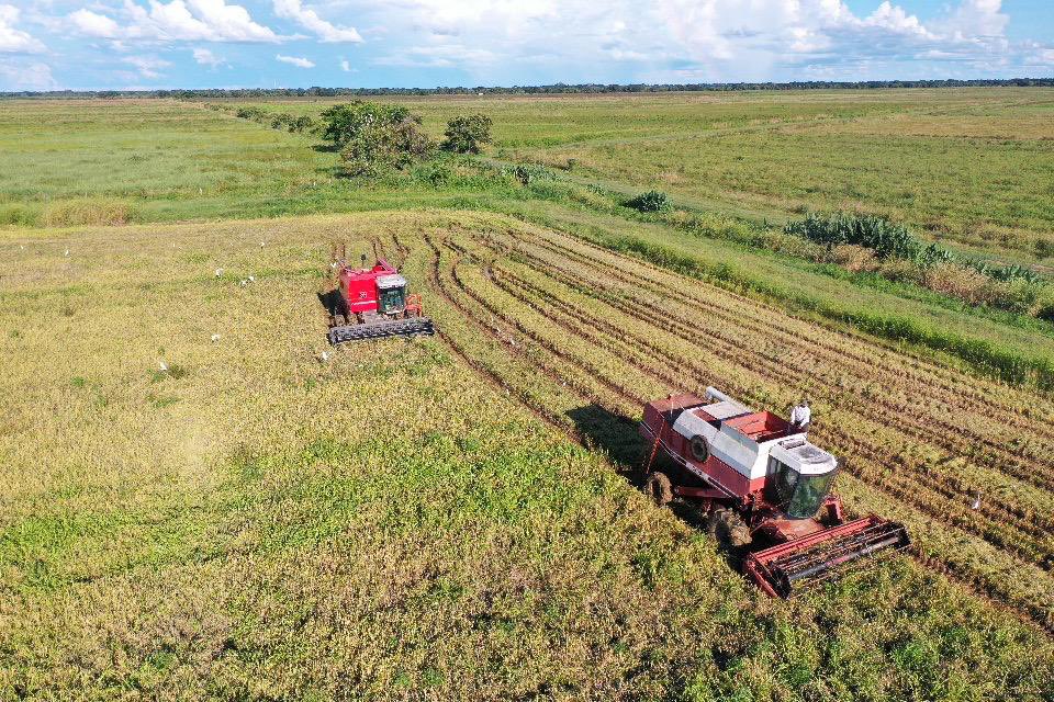 wcastroPSUV's tweet photo. En el seguimiento de siembra ciclo invierno 2020, destacamos 905.715 hectáreas sembradas de la siguiente manera;
76.580 de arroz,
493.809 maíz,
5.326 de sorgo,
220.000 de café,
60.000 de caña de azúcar,
50.000 de soya. https://t.co/2D0ZGkm8nH