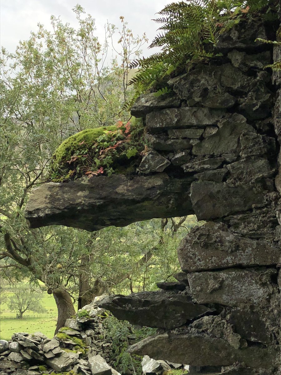 Mossy gardens had colonised protruding stones