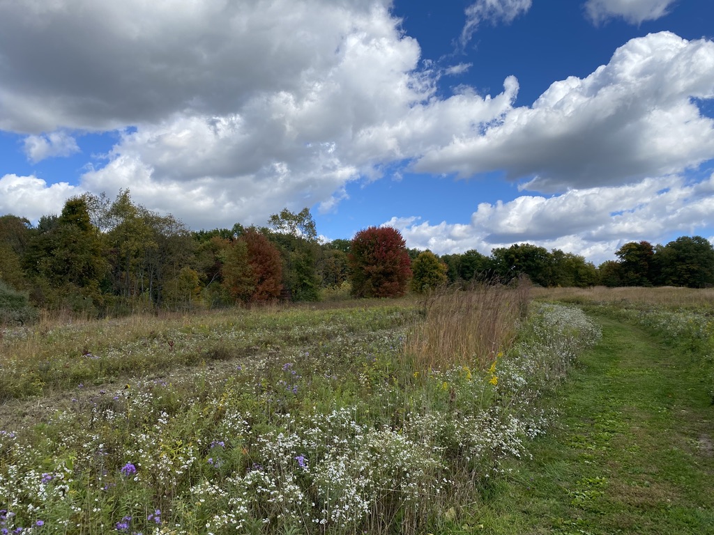 hiramcollege's tweet photo. Fall is the perfect time for a hike! 🍂 

In her pop-up course, Hike and Hear Hiram History, Alex Dellas took her students to the James H. Barrow Biological Field Station to explore the trails and learn about the research and educational facility just three miles from campus. https://t.co/LgKHYpEMxK