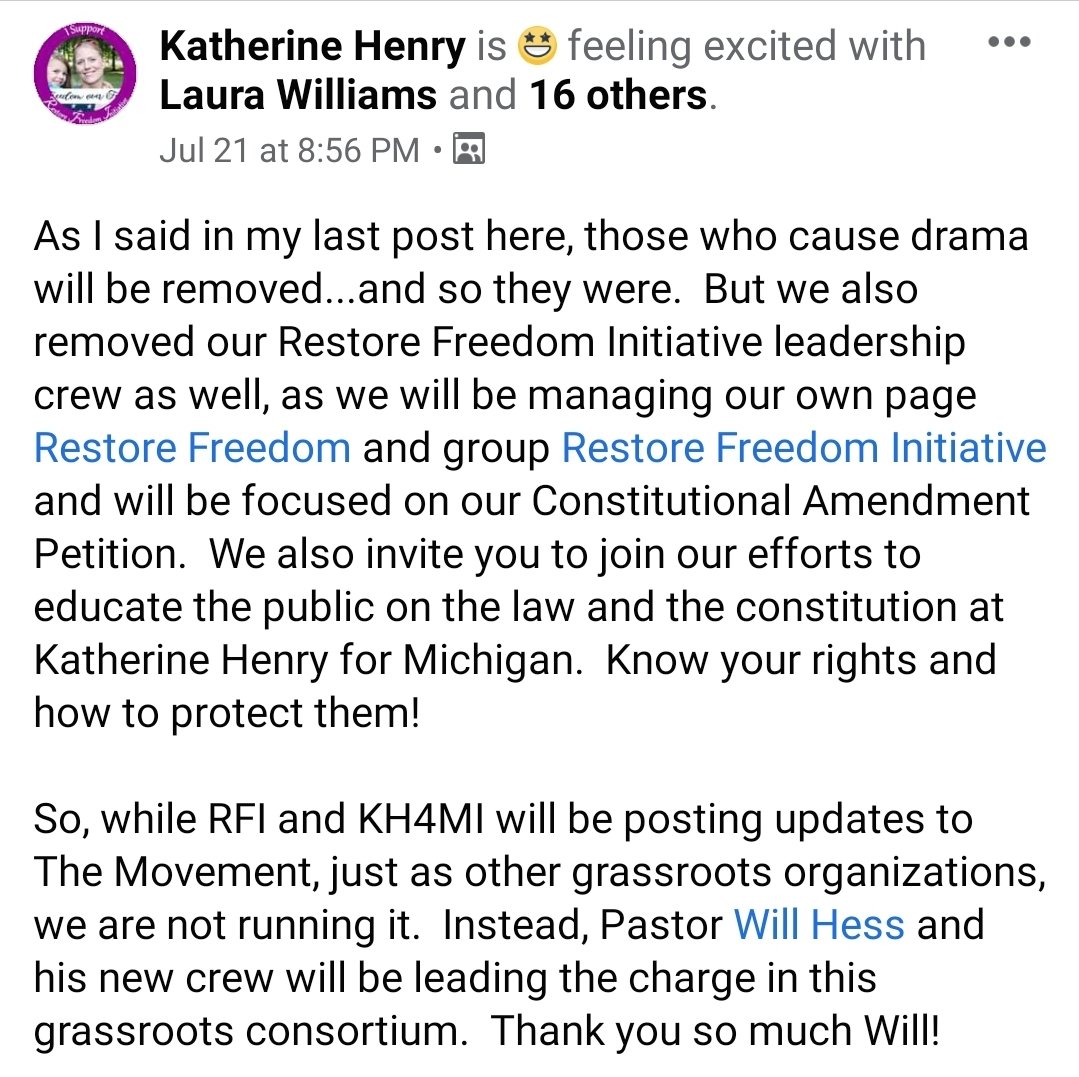Henry leveraged the organizing done by the proto militia that stormed the state capital, and came back with the haircut brigade later on, into a Facebook group with tens of thousands of members called "The Movement." Her goal was a massive amendment to the state constitution.