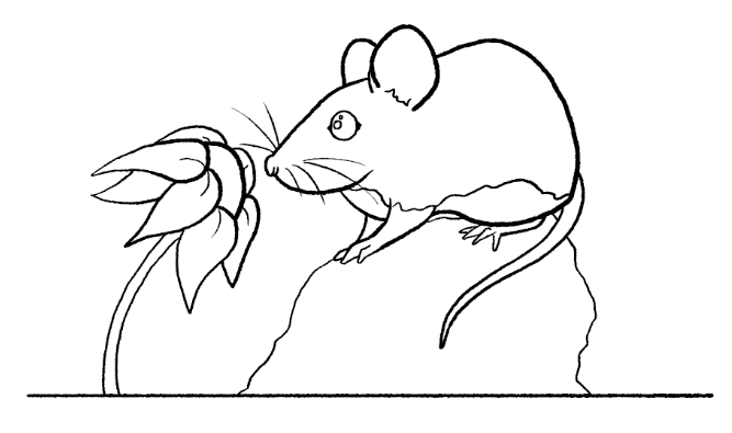Samathasaurus's tweet photo. Update on current mission of #inktober2020 and Aggressive Kindness: 

Here's day 6 - "Rodent"

Also, YOU'RE BEAUTIFUL!!

#aggressivekindness #rodent #inktober https://t.co/NgGtAsUN86