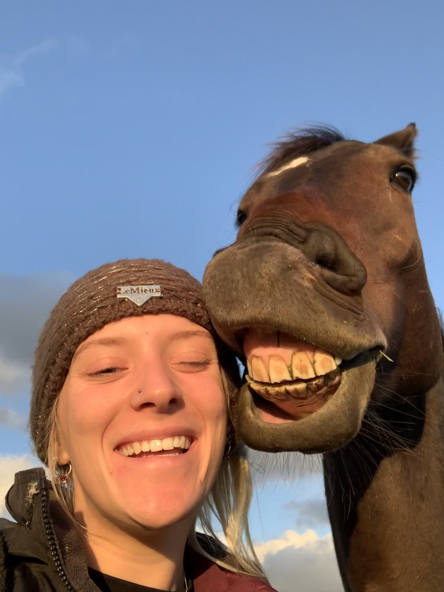 ladygovier's tweet photo. this horse will forever have my ♥️ https://t.co/NB277zF7ft
