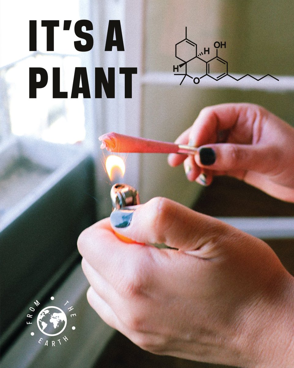 This plant has helped so many folks! We must break the stigma and put education above all else. 

#fromtheearth #longbeach #porthueneme #santaana #orangecounty #michigan #hanovermichigan