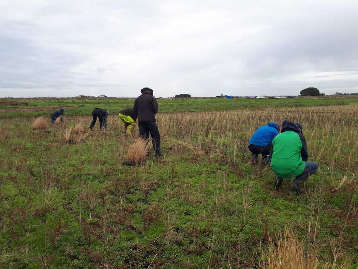 Water Resources East tweet media