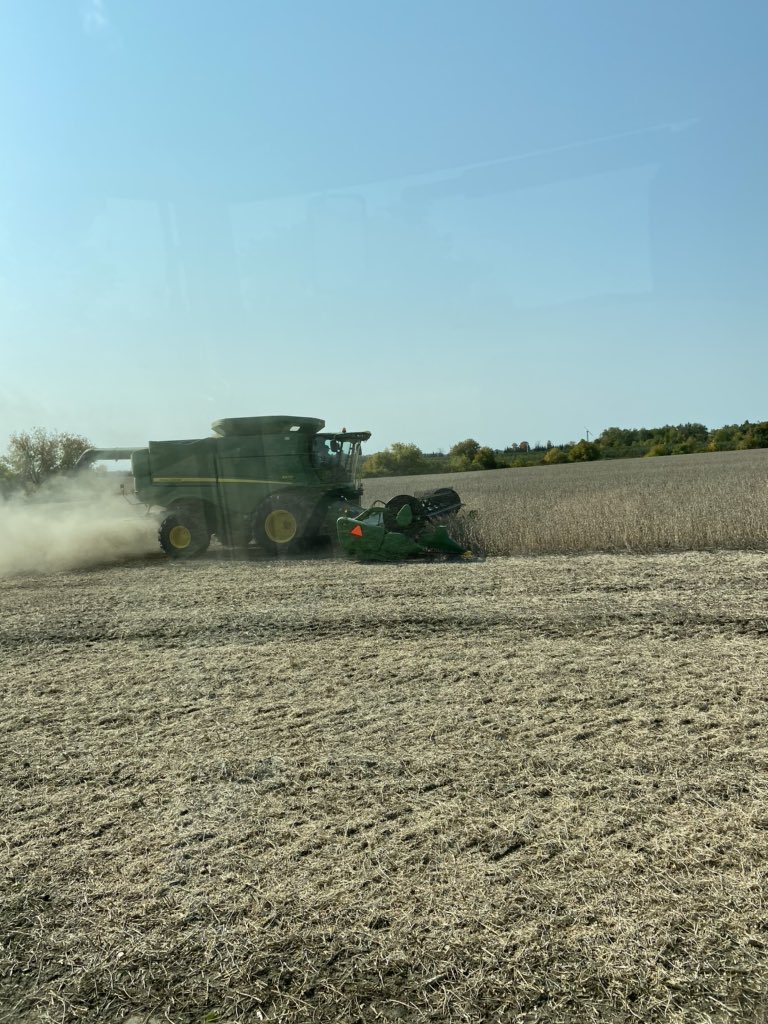 Beautiful day to finish up soybeans harvest 😁