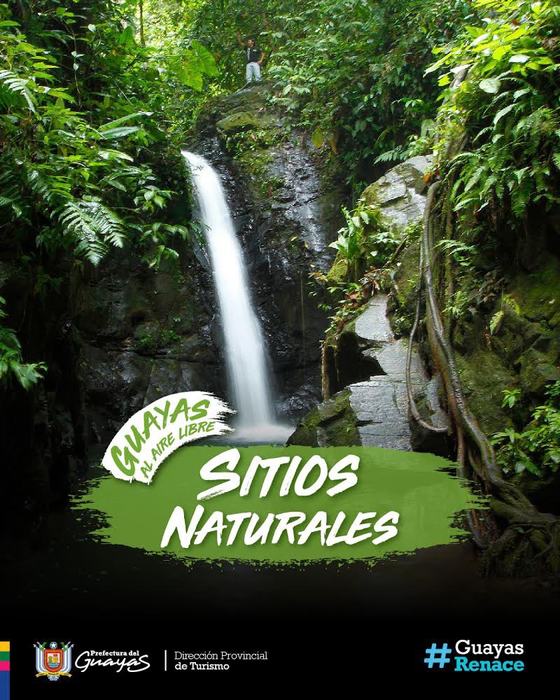 guayasrenace's tweet photo. Las caminatas, el aviturismo, los deportes y la naturaleza te esperan este feriado, Guayas tiene varias opciones para que pases momentos de paz y diversión. Descarga el Planeador de Viajes en: https://t.co/ozfdJdbNnu y conoce los sitios que puedes visitar previa reserva. https://t.co/PfRgHXtBnE