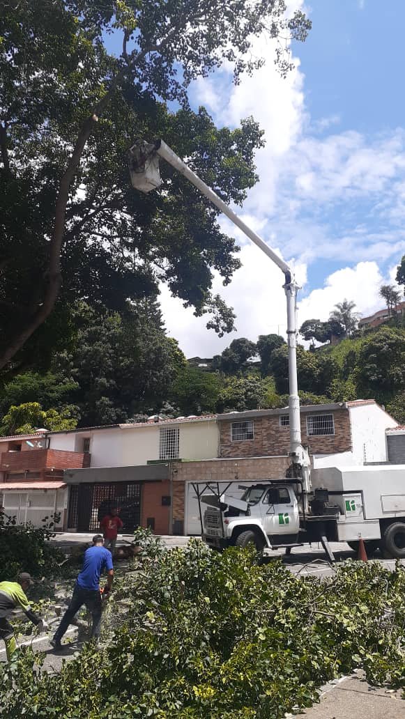 fospuca's tweet image. A solicitud de los vecinos y con aprobación de la alcaldía retomamos las labores de podas preventivas y de seguridad en la urbanizacion Santa Inés. El mantenimiento es una labor de suma importancia, sobre todo en estos momentos ¡Seguimos adelante! #SomosFospuca 🚚