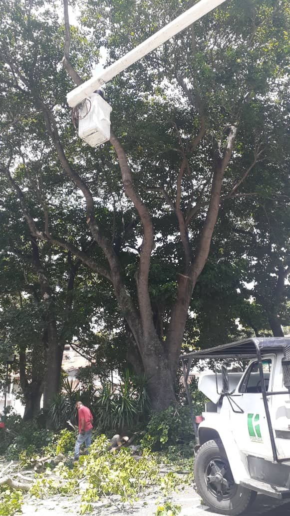 fospuca's tweet image. A solicitud de los vecinos y con aprobación de la alcaldía retomamos las labores de podas preventivas y de seguridad en la urbanizacion Santa Inés. El mantenimiento es una labor de suma importancia, sobre todo en estos momentos ¡Seguimos adelante! #SomosFospuca 🚚