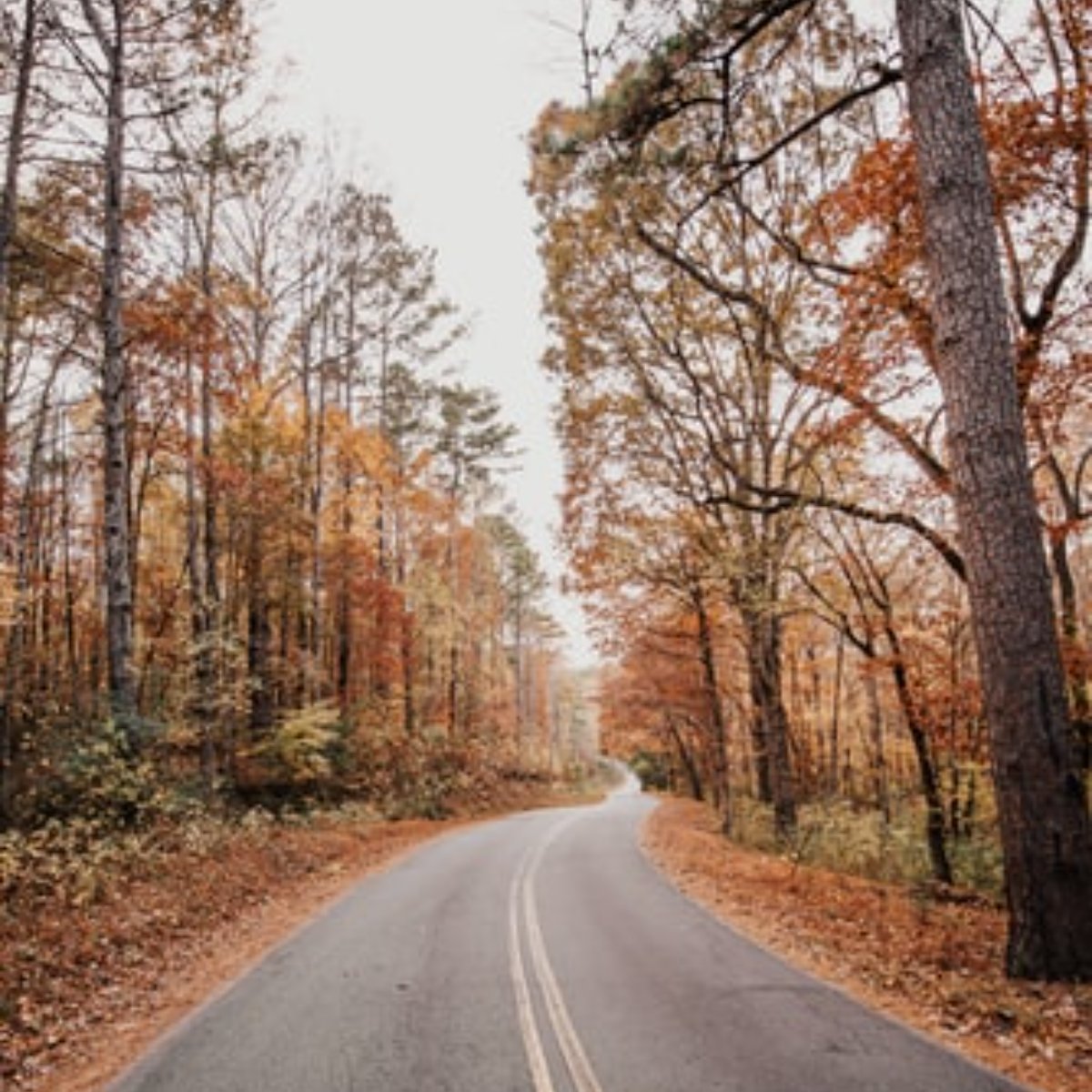 Fall in Texas means more time spent outside. Where to you plan to ride this season?