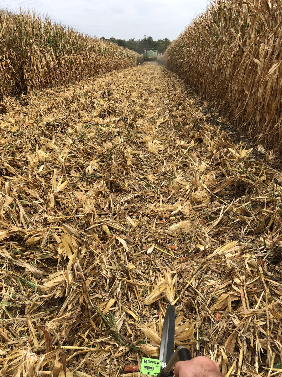 Is it <a href="/FarmsWimp/">Wimp Farms</a> or <a href="/rgt43/">The “old” fertilizer guy</a>??? 🤔🤔🤔