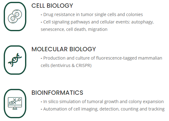 Here's a summary of our research topics! You can find more details and resources at ufrgs.br/labsinal/