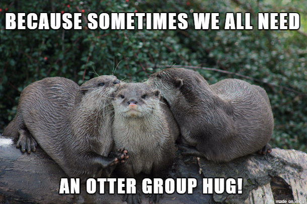 OtterlyAmazing1's tweet photo. Otter Group Hugs are the BEST! Send this to someone who needs one:) #OtterlyAmazing #grouphug #ottermeme #otterlover https://t.co/ZFp9PZqtnQ