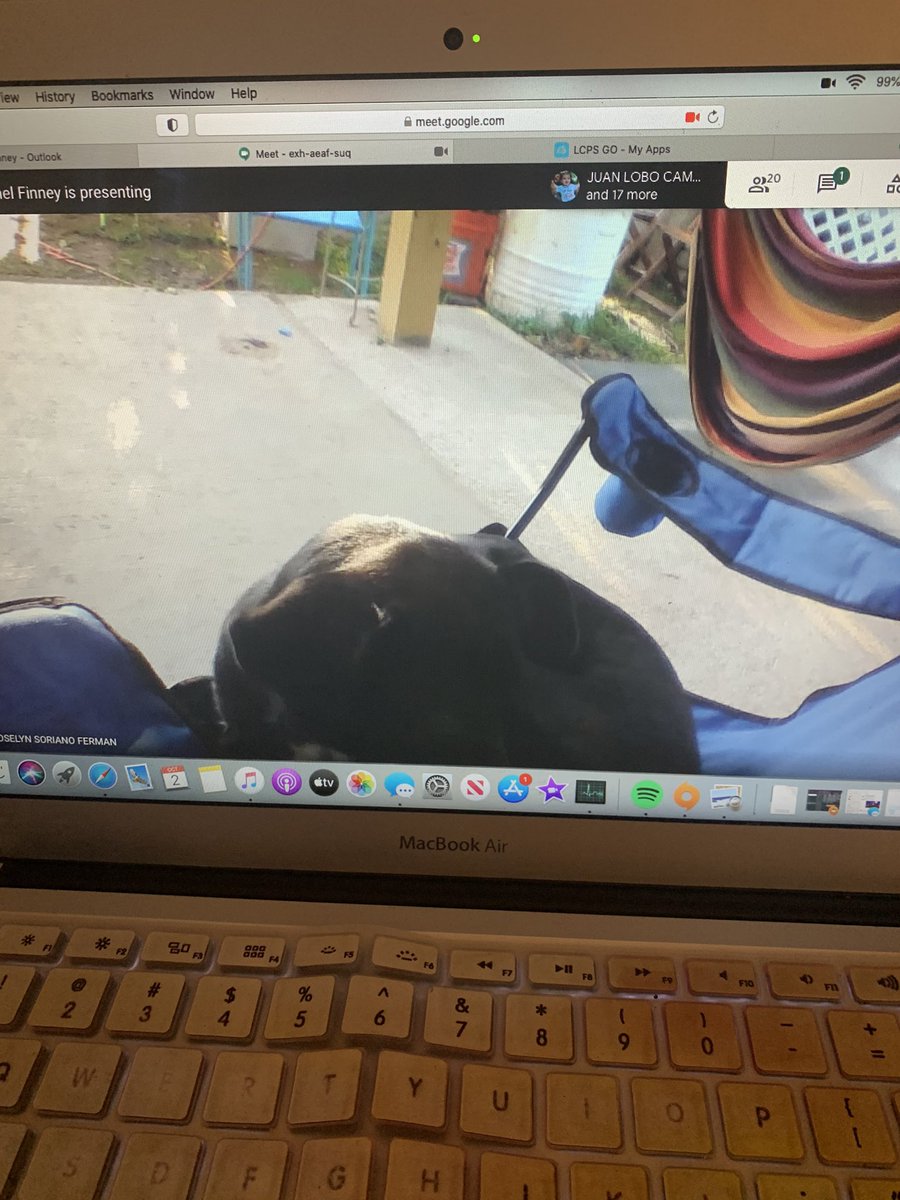 Rachel Finney tweet media