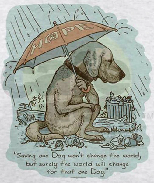 「犬一匹救っても世界を変えることはできないけれど…。」その後に続く素敵な言葉に感動！