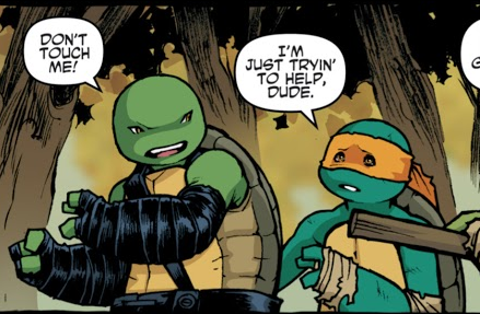 no thats it im bonking everyone who makes idw mikey sad and leo is not a fukcing exception