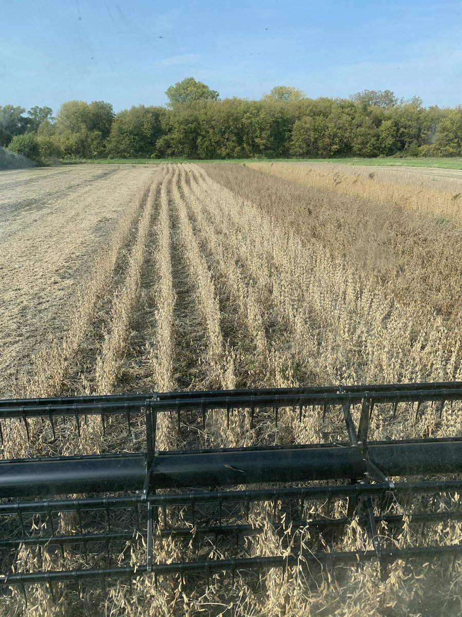 XtendFlex Plot Harvest is underway! #XtendFlex #ChannelSeed