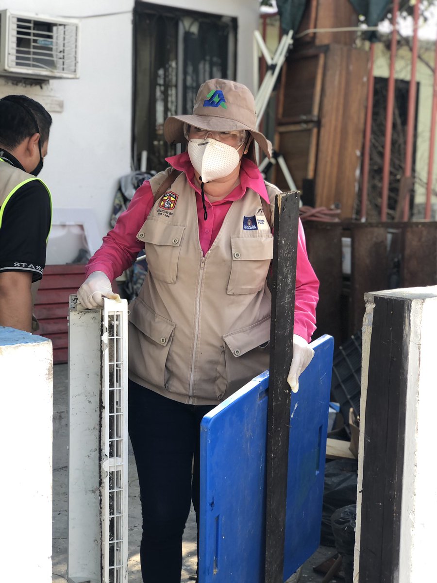 Dirección de Ecología y Medio Ambiente de Mazatlán tweet media