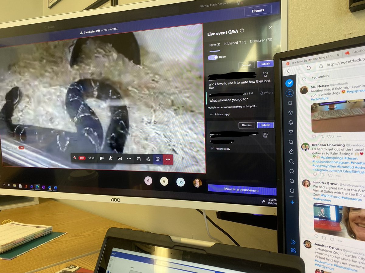 Amanda Young tweet media