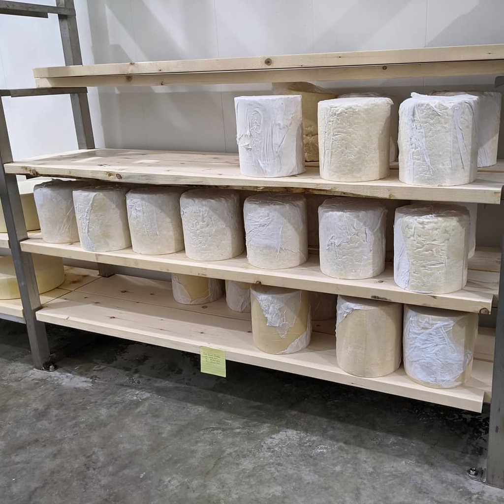 Cheesewizzard's tweet photo. Another 20 wheels of @lakeside_farmstead Clothbound Cheddar have been added to the ageing rooms.  See you in 9 to 24 months #yegfood #yegcheese #abcheese #Lakesidefarmsteadcheese https://t.co/vhfOBFnehM https://t.co/okiWXxEZEp