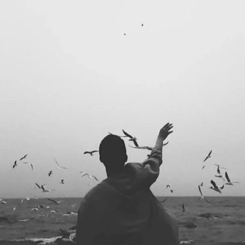 Aldırma sen azizim 
İnsanoğlu bildiğin gibi işte 
Kendi aynasına aşık 
Kendi kalbine gurbet 🍂
H.Polat
#Babil #yaprakdökümü #şiir #cocukluk #payitahtAbduelhamid