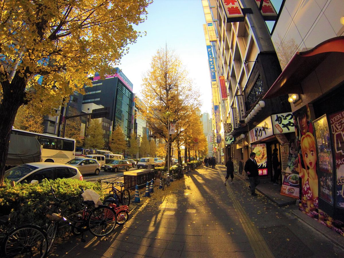 ikebukuro_hotel's tweet photo. Sakura Hotel Ikebukuro・Nippori・Jimbocho・Asakusa・Hatagaya Online Viewing!
You can take a look at the rooms and the inside of the hotel by video chatting in advance
https://t.co/hsYhO23f0h
#groupreservation #tokyo #tour #japan https://t.co/Hzkrs7ahao