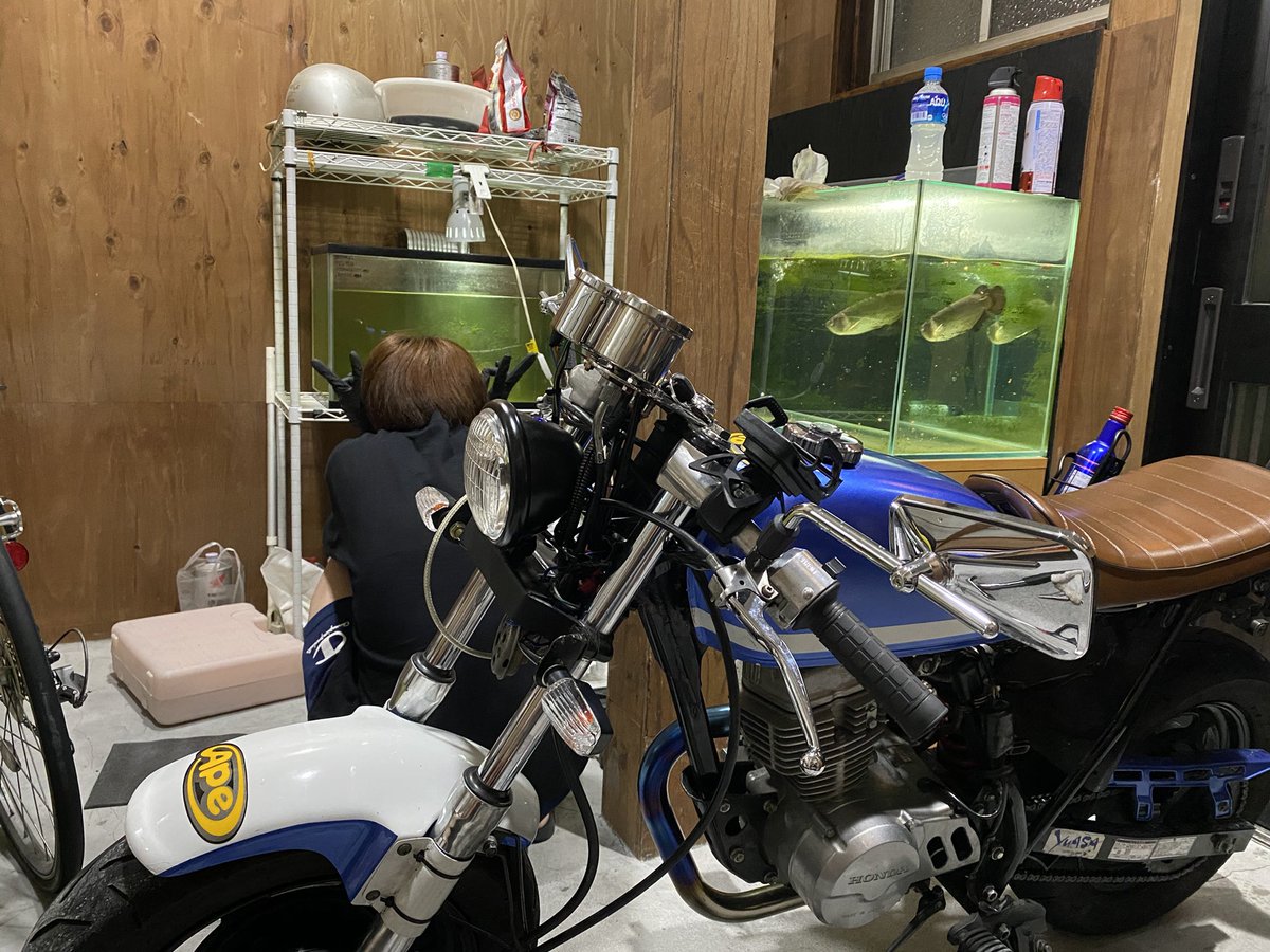 Ape88cc's tweet photo. そう言えばこの前彼女がいじるの手伝ってくれた笑
彼女とバイクいじれるの最高やね🤣 https://t.co/zki2ekI4Vr