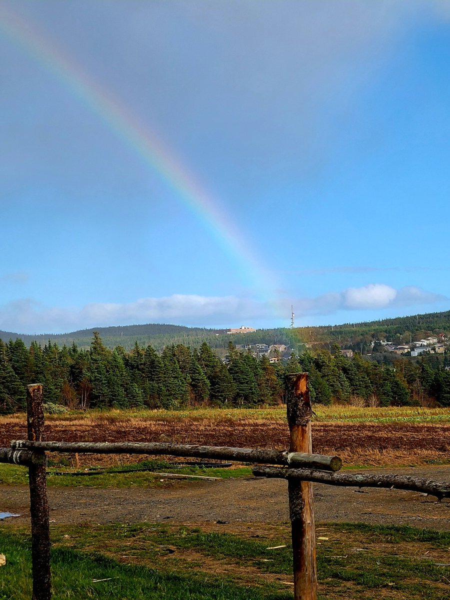 Lester's Farm today 🥰 @LFM_Susan  #nlwx #rainbows #Octoberrain