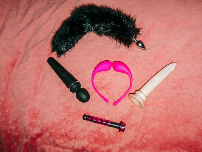 At that time ,I had a new addition in "family" Oh thank you friend ,for these gifts🤗 https://t.co/4C<a href="/tag/stoprussia"class="tags"><span>#stoprussia</span></a><a href="/tag/glorytoukraine"class="tags"><span>#glorytoukraine</span></a>