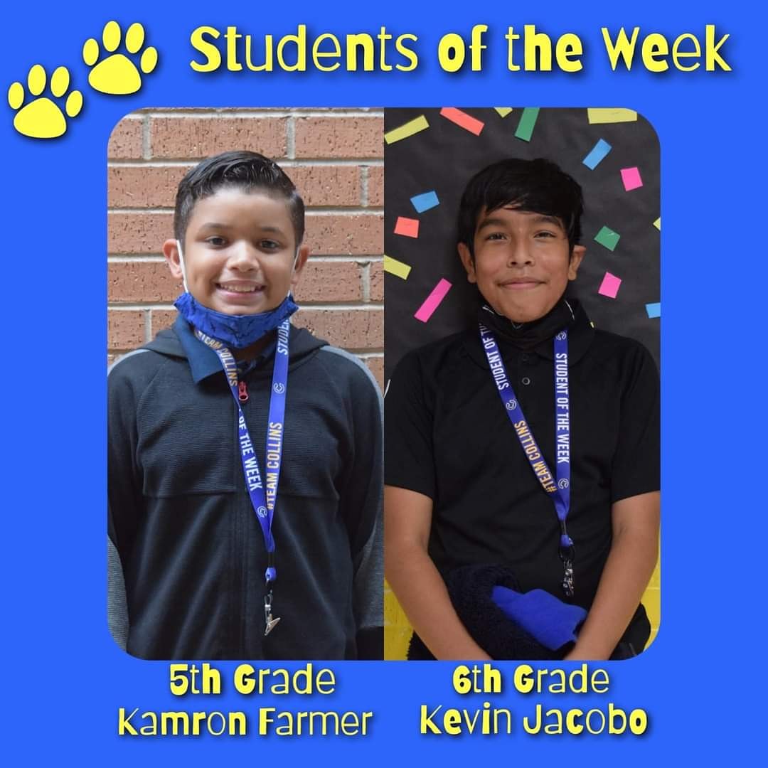 Collins Intermediate tweet media