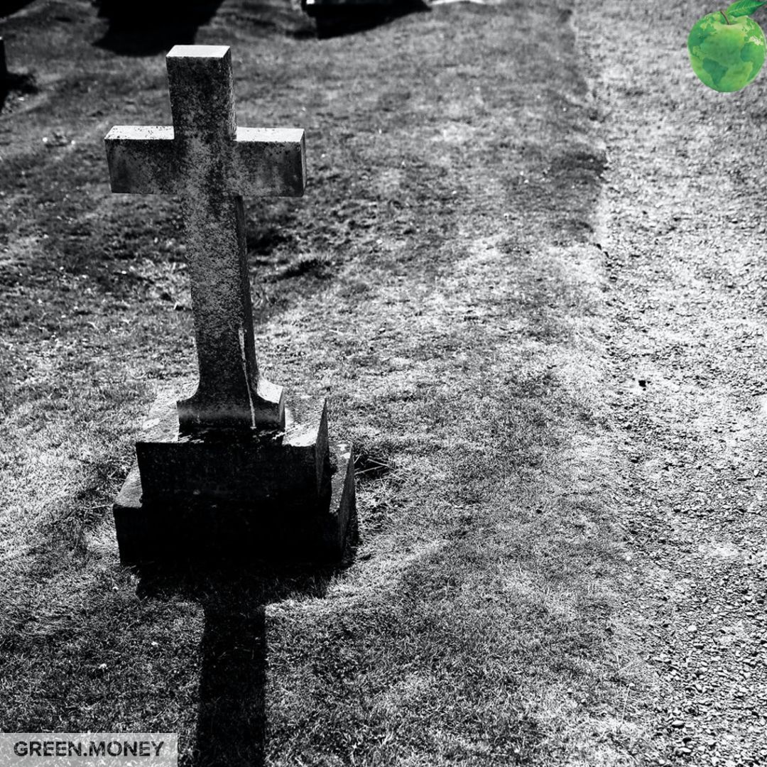 Green.Money Payment Processing tweet media