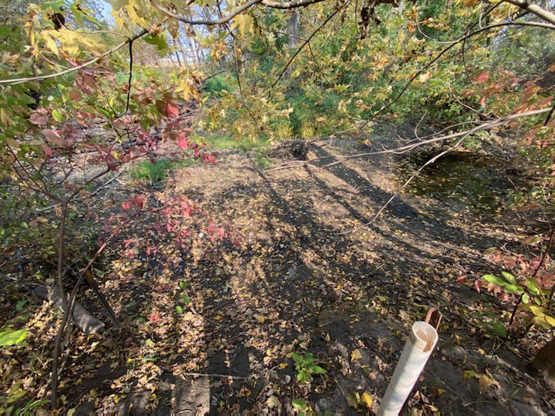 CelaysaMH's tweet photo. Visited 42 wells today and was only able to collect ☝🏼 sample! Second photo is of bear creek 🤯 #iowadrought #fridayfieldwork https://t.co/cOfDfp7bTn