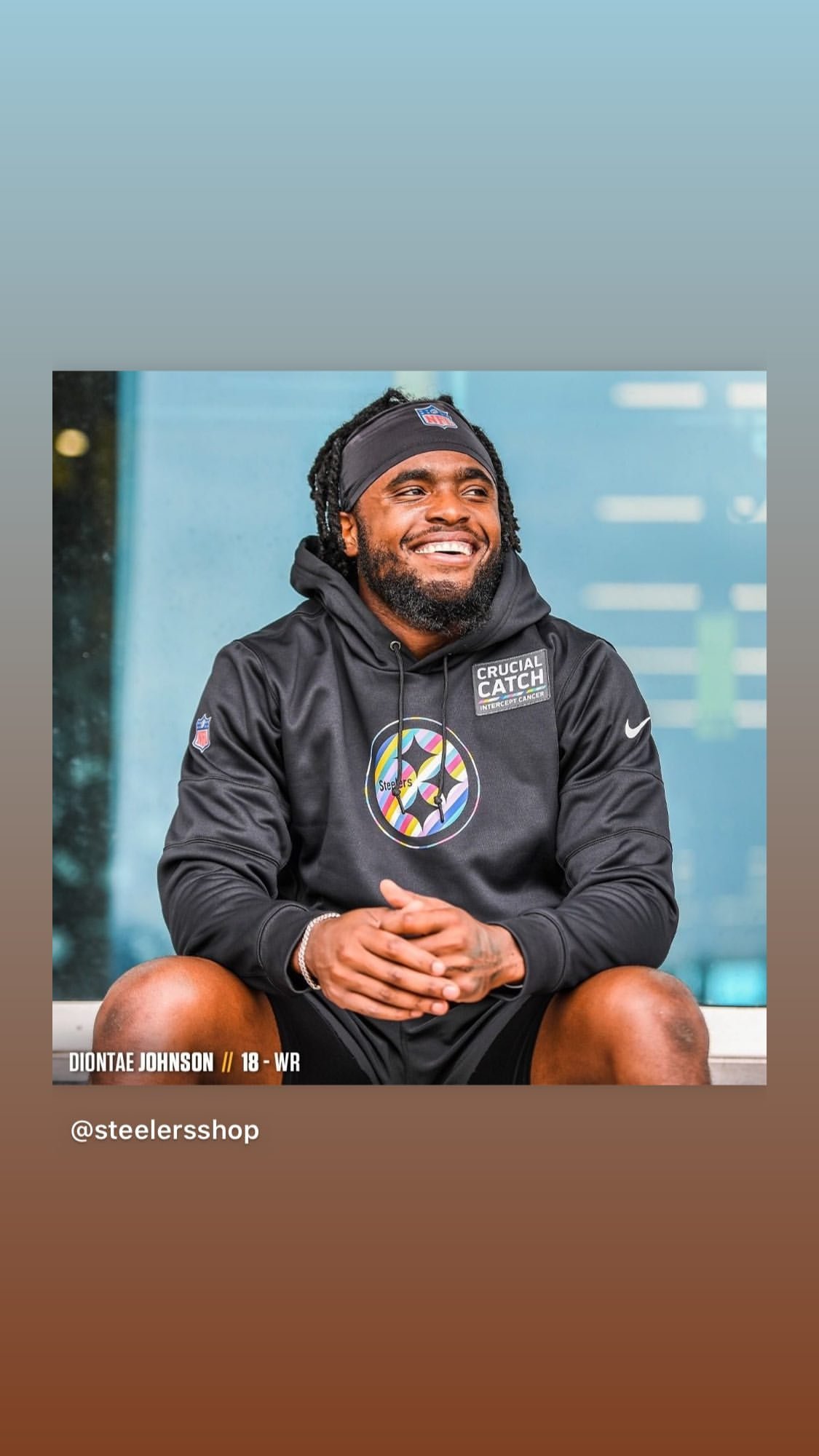 steelers crucial catch hoodie