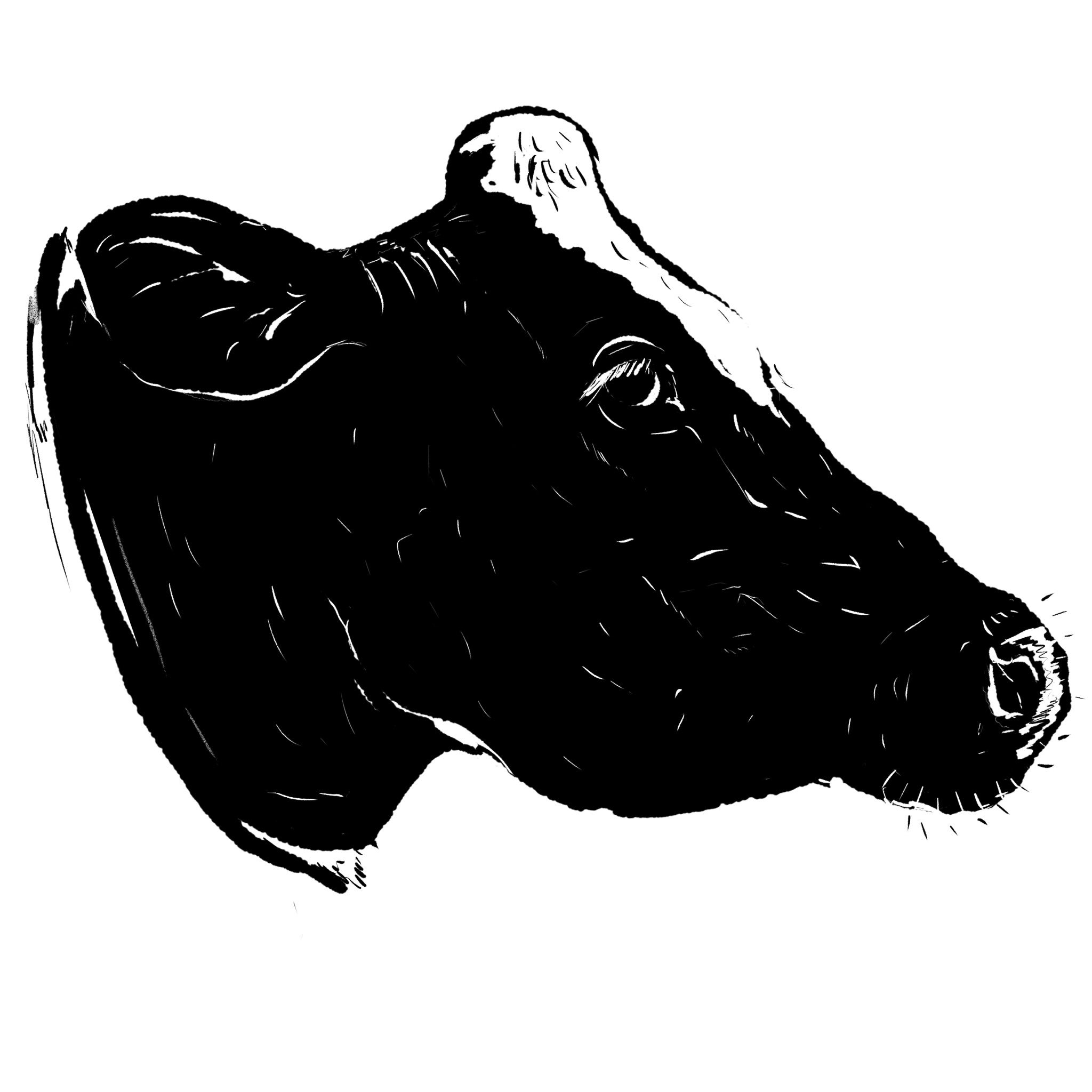 すかまる 版画風イラスト 乳牛and和牛 牛イラスト 動物イラスト 牛 動物 T Co Asvaeadrtp Twitter すかまる 版画風イラスト 乳牛and和牛 牛イラスト 動物イラスト 牛 動物 T Co Asvaeadrtp Twitter