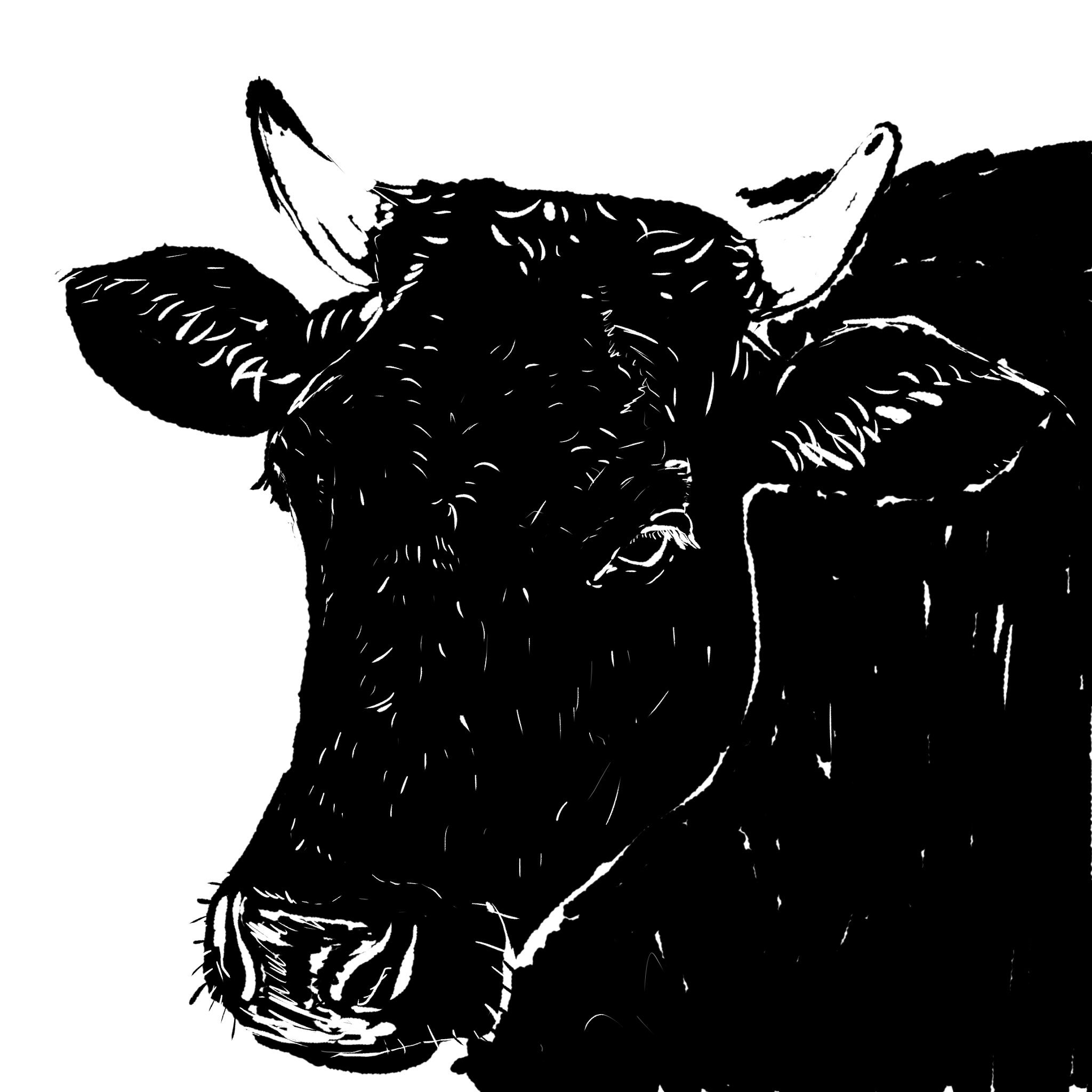 すかまる 版画風イラスト 乳牛and和牛 牛イラスト 動物イラスト 牛 動物 T Co Asvaeadrtp Twitter