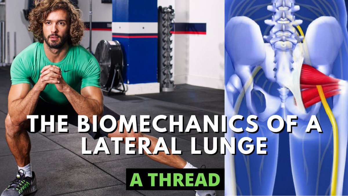 A thread on the biomechanics of a lateral lunge - and why it’s an amazing position for those with tight glutes & piriformis.This position is know for training the frontal plane, but it’s so much more than that.Depending on how you do it, you can improve movement mechanics..