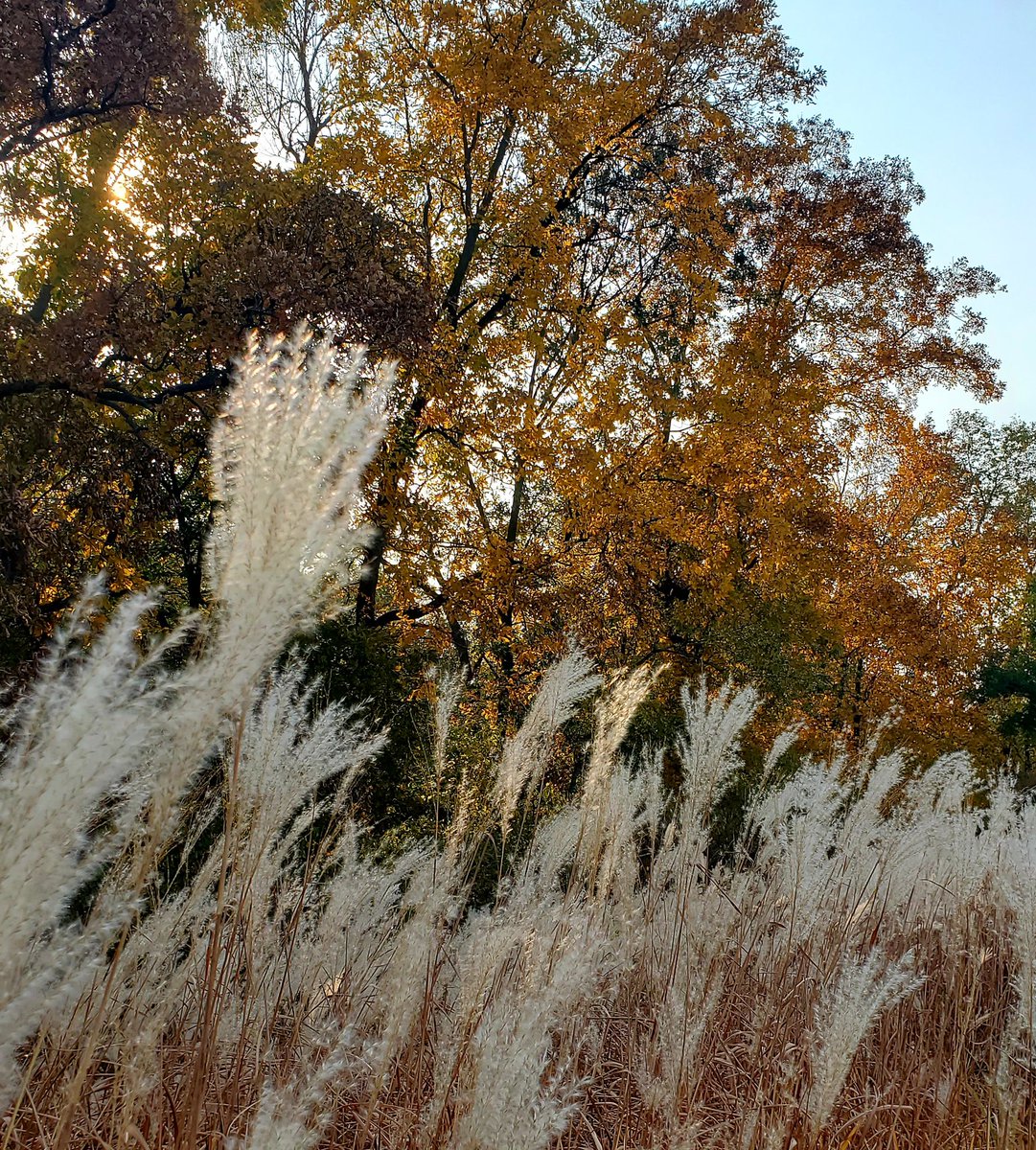 Get out and enjoy the wonderful fall weather... cause it will be gone before the election is settled.