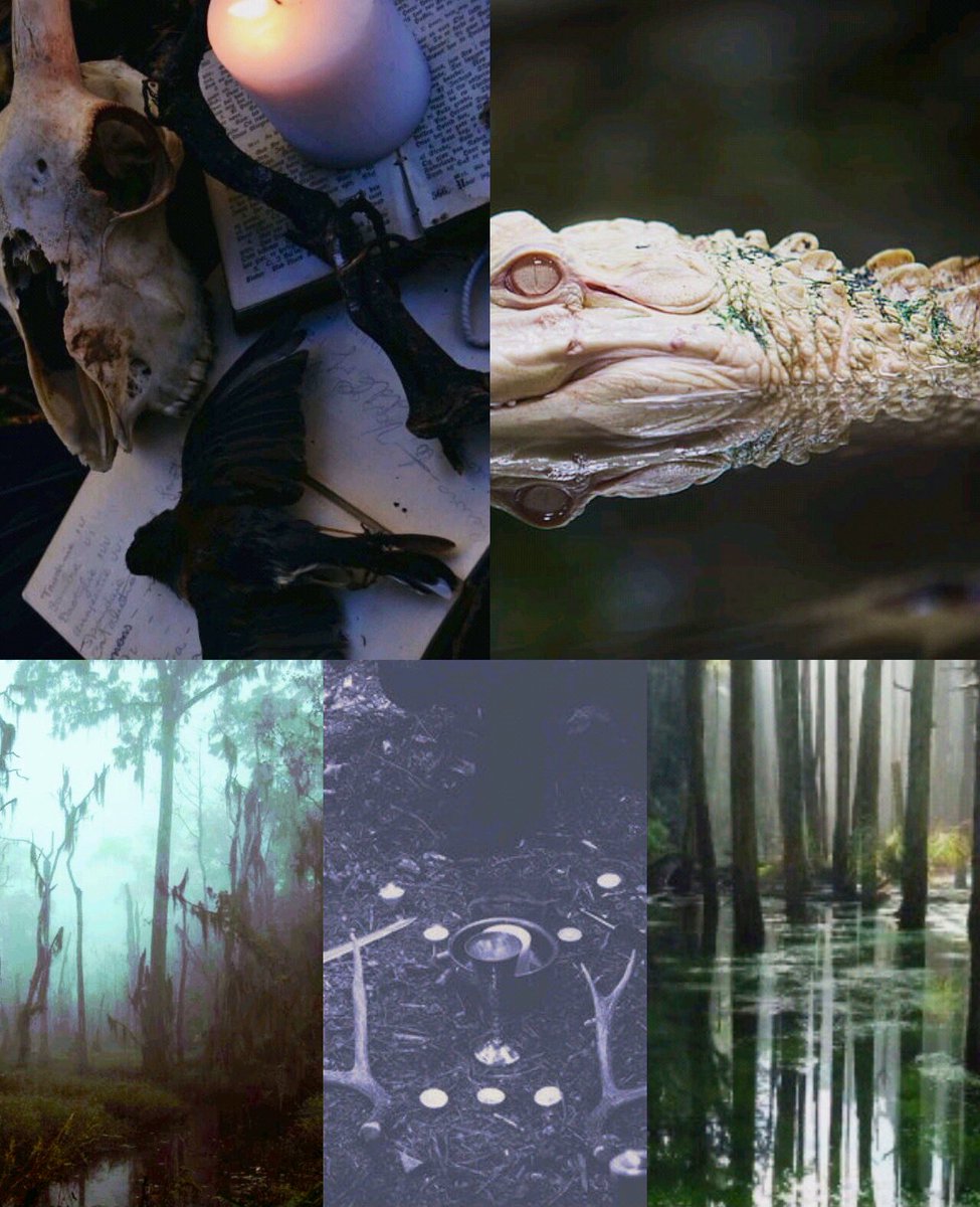 ⎊ ——————— 🐊 ——————— ⎊

                    𝚃𝚑𝚎
                             MΔṈ
               𝚠𝚒𝚝𝚑 𝚝𝚑𝚎
                                ĦEX ;

———————— ⎊ ————————

 ↓        • —》#Vøøđøø《— •         ↓