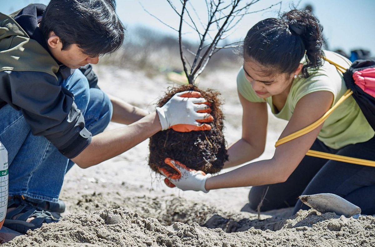 RISERockaway's tweet photo. On October 17th from 12pm to 1pm, we'll be hosting a plant giveaway to honor the anniversary of Superstorm Sandy! We'll be giving away FREE Bayberry Shrubs. Check the thread to see the link to sign up. #WellnessWay #UnderTheEl @NACTO @NYC_DOT https://t.co/4oHKb54yM4