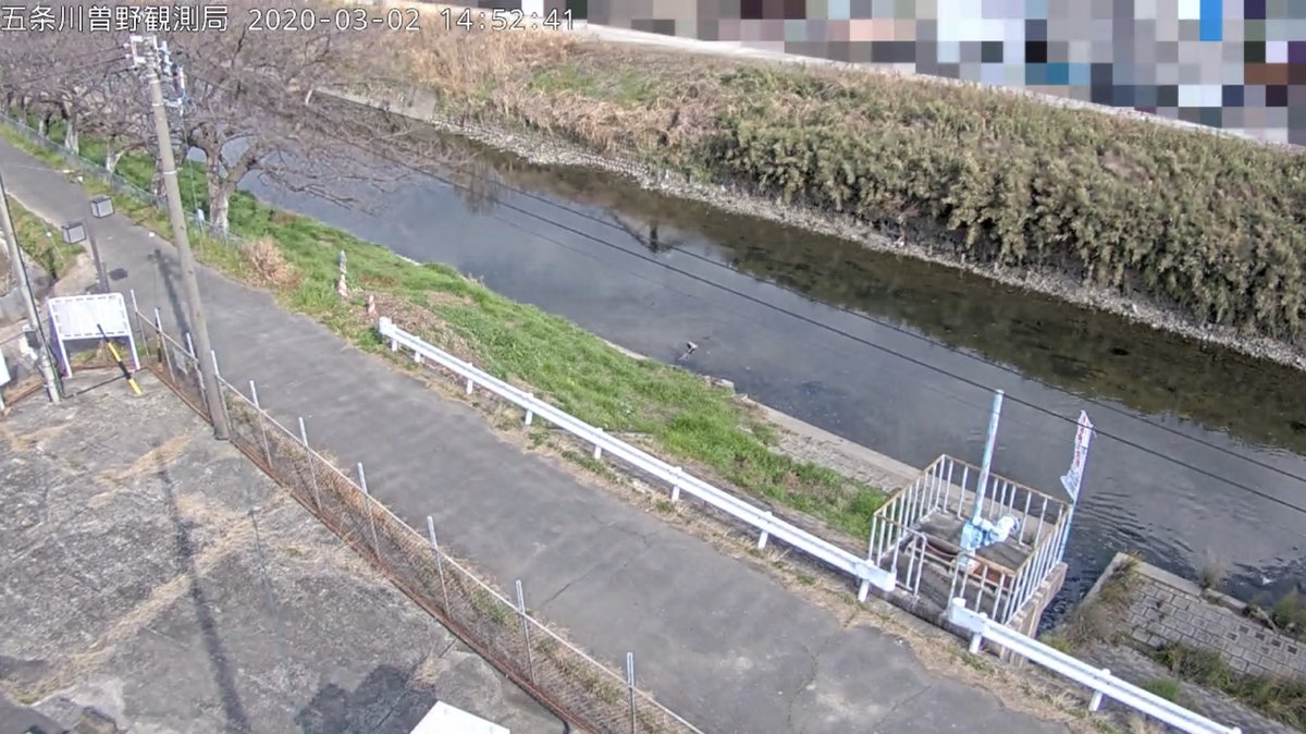 ライブカメラ検索マップ 10 10 11 40ごろの 庄内川水系 五条川 愛知県岩倉市曽野町 の様子 河川 水位が上昇しています 2枚目は平常時の映像です ライブカメラを見る T Co Idyigdbpn2 新川 五条川 天白川 日光川 境川 逢妻