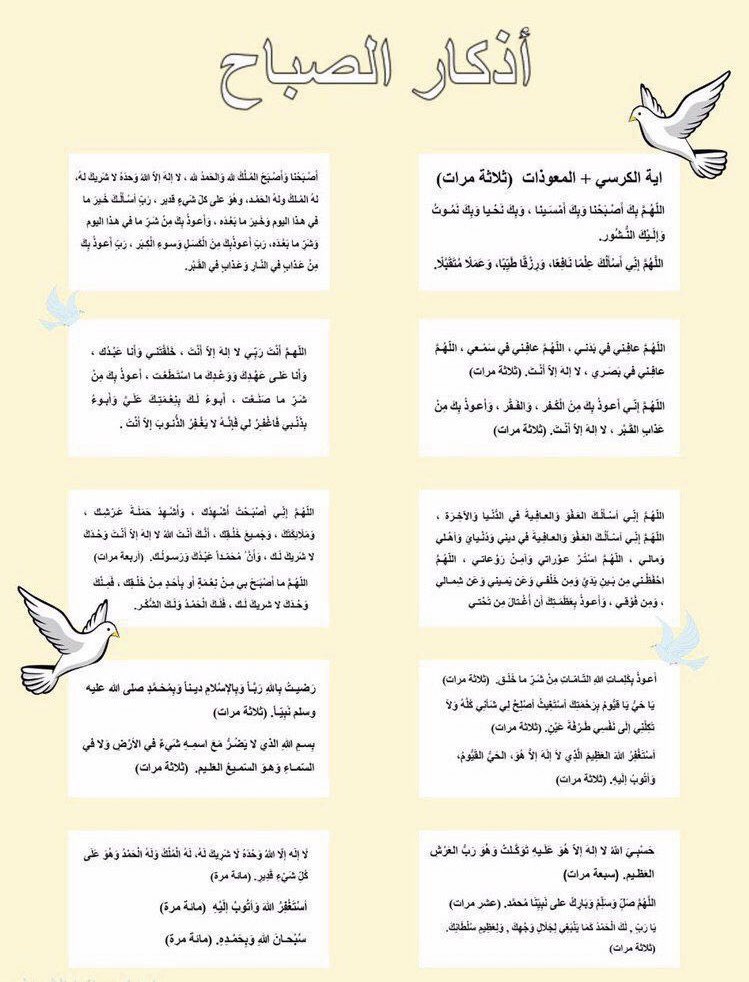 ᷂فـطــومٓ .ᥫ᭡ tweet media