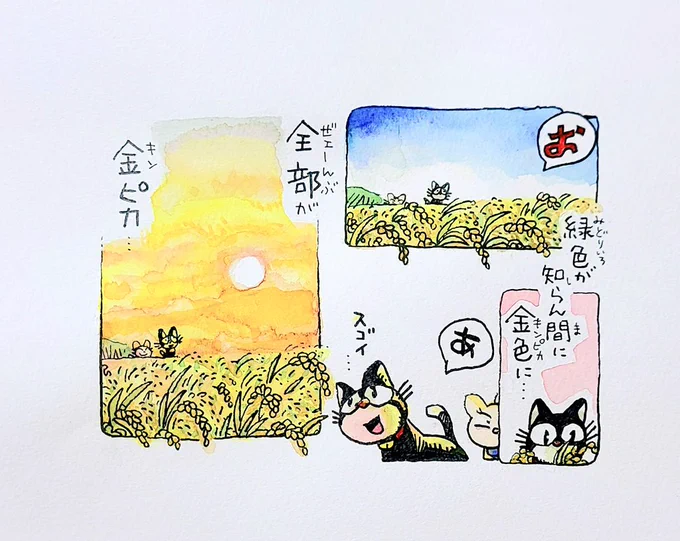月曜から火曜日にかけて描いていた作品。
今日が掲載日。ネタ解禁日です。 