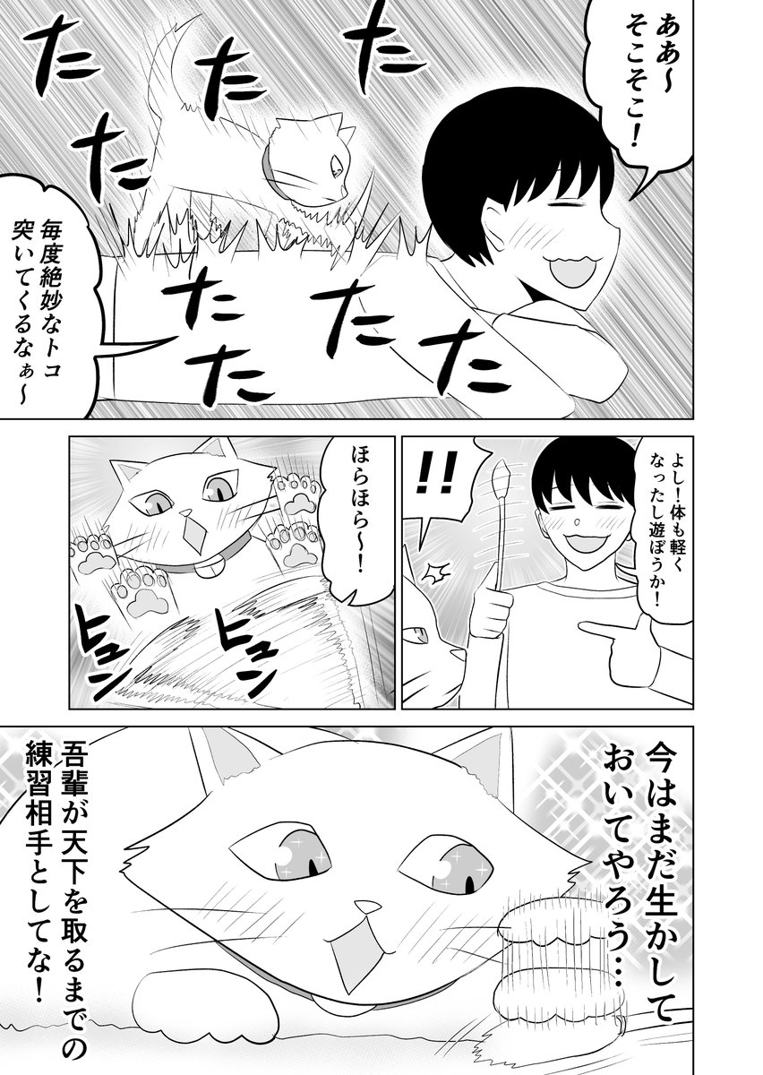 猫が人間を支配する話 