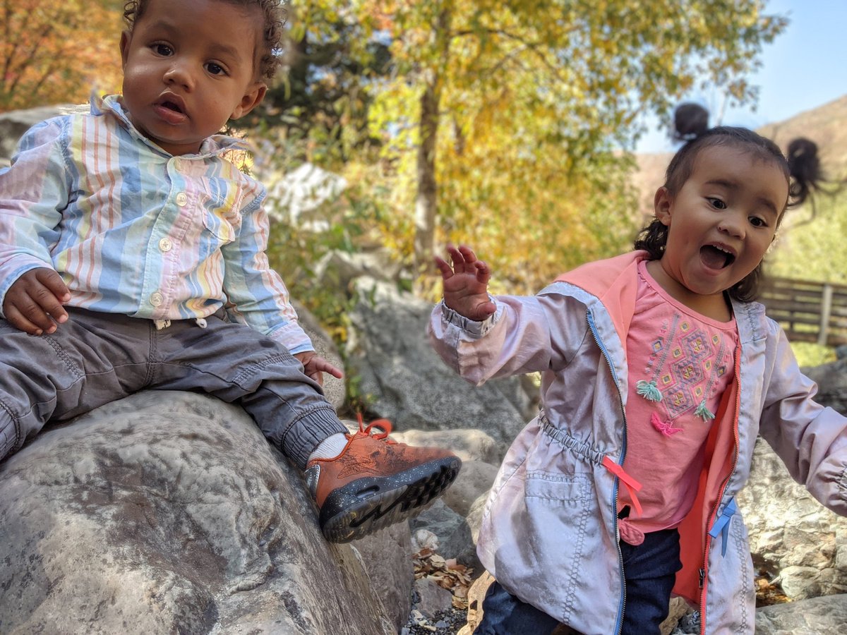 Buddies when they out here exploring 💕
#fallcolors #babies #exploring #utahmountains