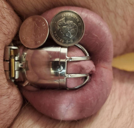 str8mastermtl's tweet photo. 💰💵RTgame💸🤑

Let's QUICKLY drain @Cashfagbitch! For the next hour:
Like = $2
Comment (max 3) = $2
Retweet = $2
New Follower = $5

To give you an idea of how pathetic that slave bitch is, here is a picture of his tiny locked dicklet (coins for scale).

#findom #rtgame #chastity https://t.co/GXPTNuHPTZ