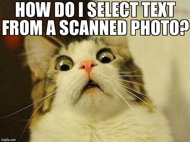 overflow_meme's tweet photo. How do I select text from a scanned photo? https://t.co/NhKHDXbXK4 #textrecognition #firebasemlkit #dart #firebasemachinelearning #flutter https://t.co/lrlbtI9Tnf