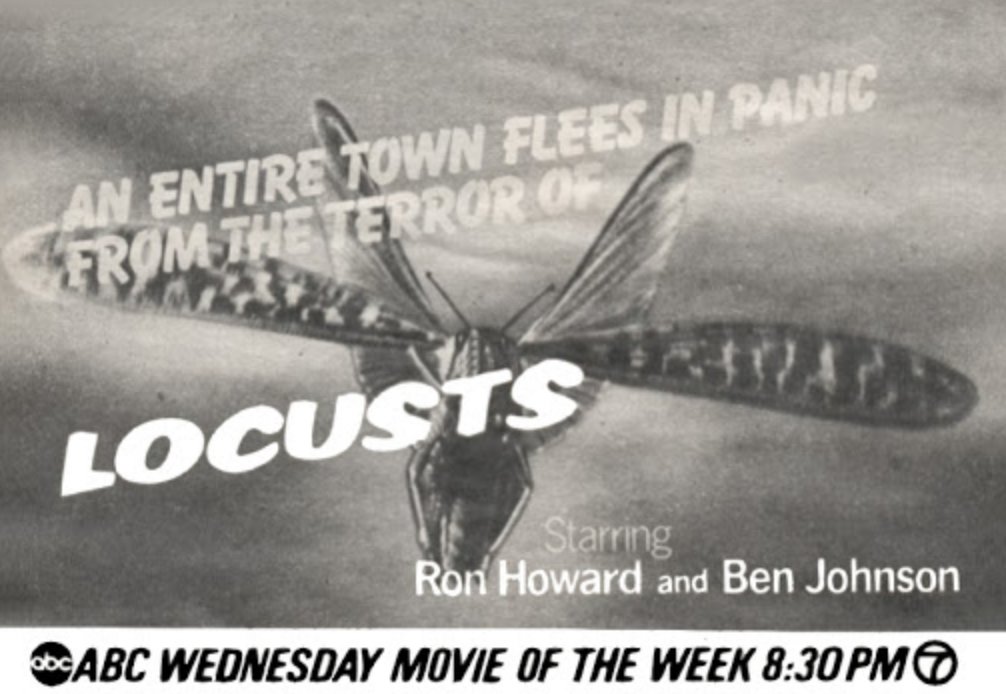 Day 9 of  #31DaysofTeleterror is another anniversary! Locusts aired as an ABC MOW OTD in 1974. Admittedly, more drama than horror, this underrated bug amok flick is as moving as it is harrowing. The cast is incredible:  @RealRonHoward , Katherine Helmond, Ben Johnson, etc. (1/2)