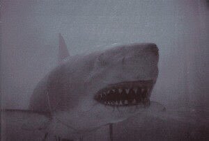 jaws (1975)