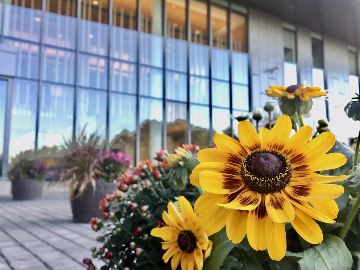 susanac_santos's tweet photo. It’s just a matter of focus and depth.
#rowanstrong  #profsperspective

@RowanRCB @RowanUniversity https://t.co/qSojTXVaCi