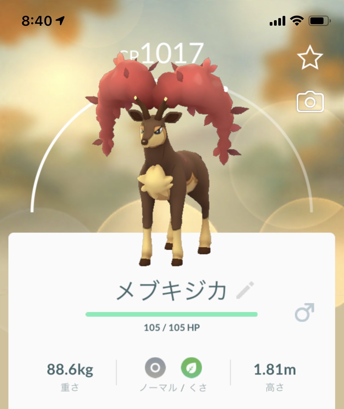 توییتر つぶやきおハミ در توییتر 秋のイベントパート1の最後の報酬はシキジカだった かわいいバンビだったけど 進化したら 雄々しい鹿になったw ポケモンgo T Co Imdnfgcue8